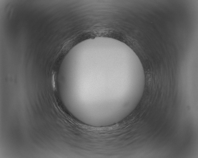 X0000054420042200507290937