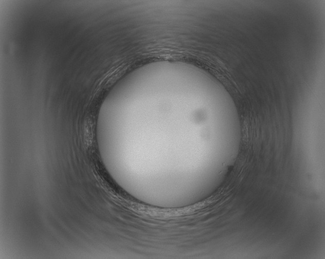 X0000054420043200507290937