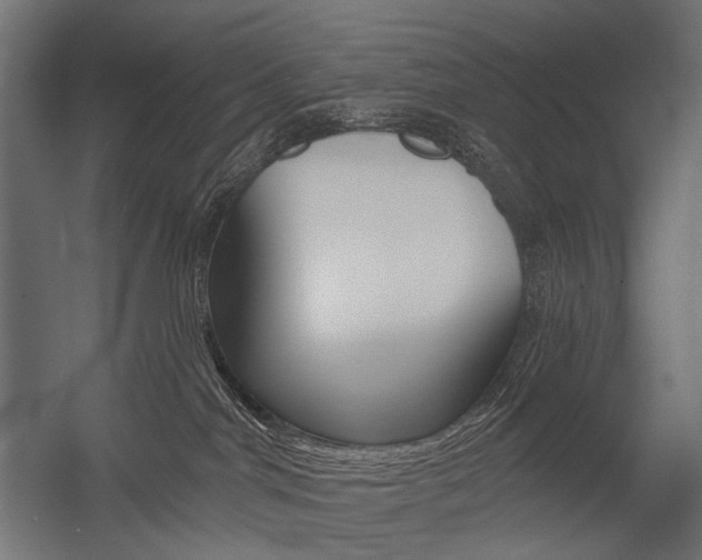 X0000054420044200507290937