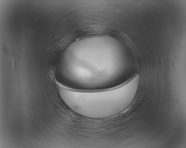 X0000054420045200507290937