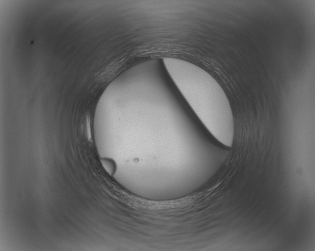 X0000054420046200507290937