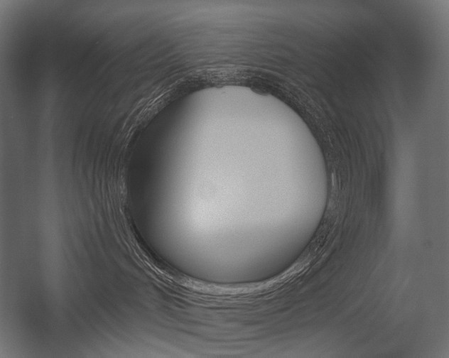 X0000054420048200507290937