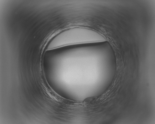 X0000054420050200507290936