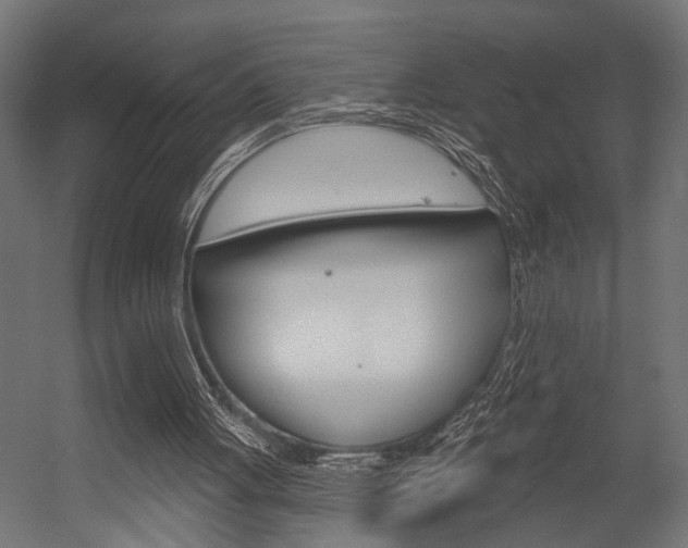 X0000054420051200507290936