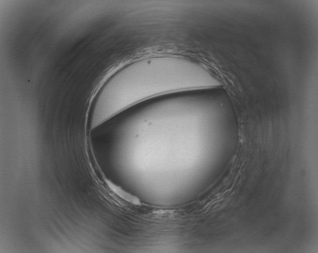 X0000054420052200507290936