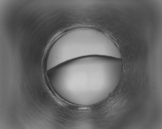 X0000054420053200507290936