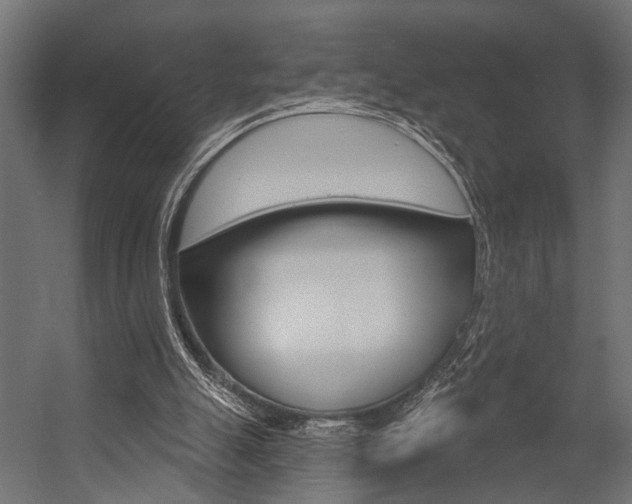 X0000054420055200507290936