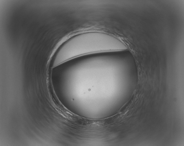 X0000054420056200507290936