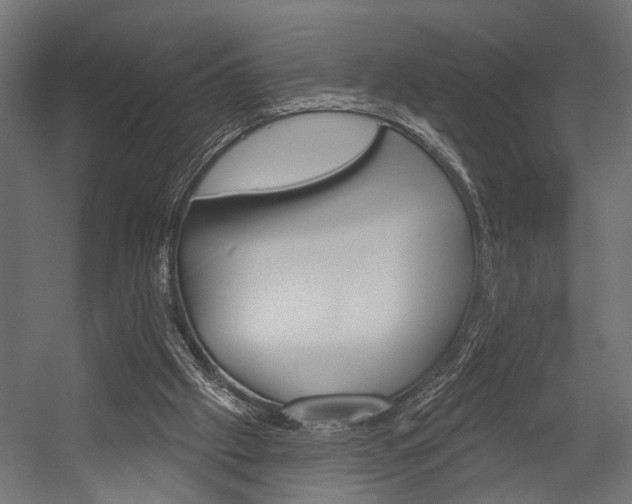 X0000054420057200507290936