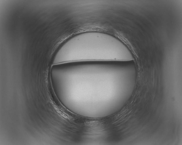 X0000054420058200507290936