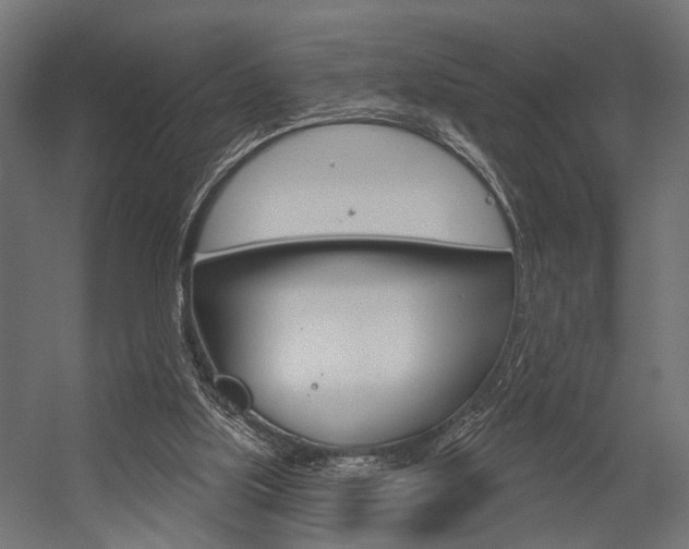 X0000054420059200507290936