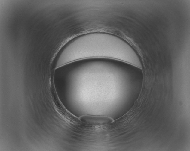 X0000054420060200507290936