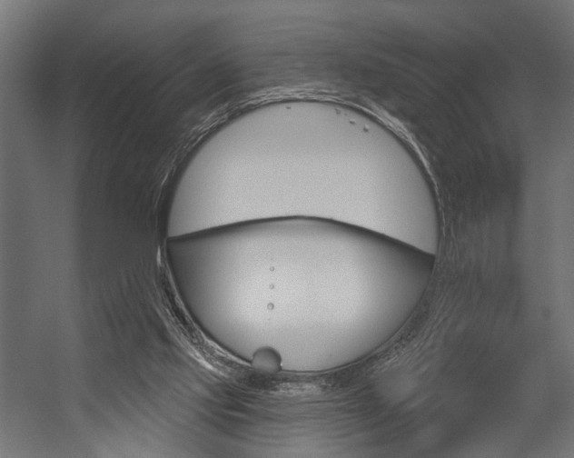 X0000054420061200507290936