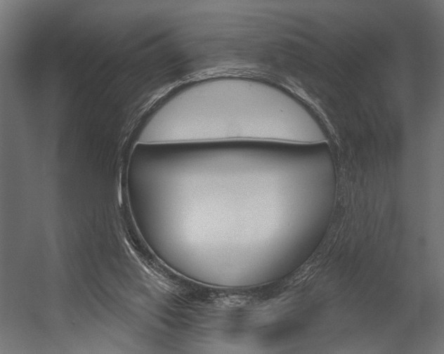 X0000054420062200507290936