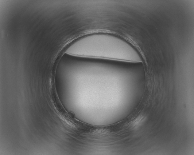 X0000054420063200507290937