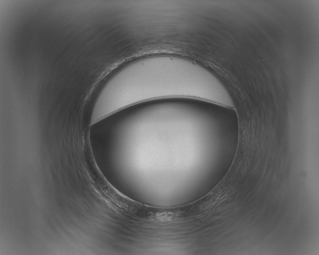 X0000054420064200507290937