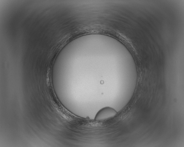 X0000054420065200507290937