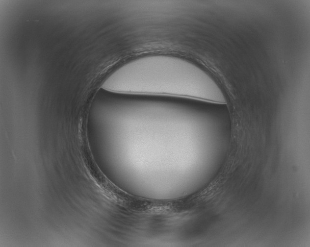 X0000054420066200507290937