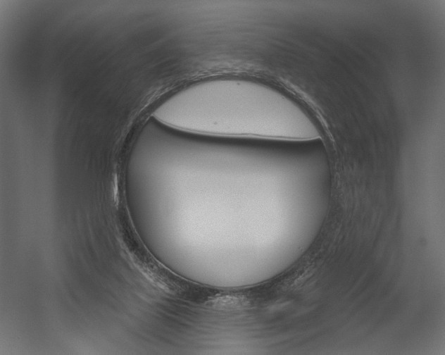 X0000054420067200507290937