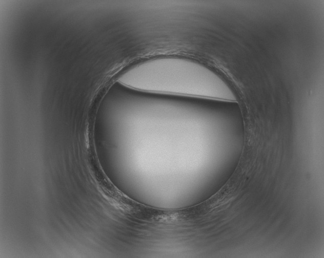 X0000054420068200507290937