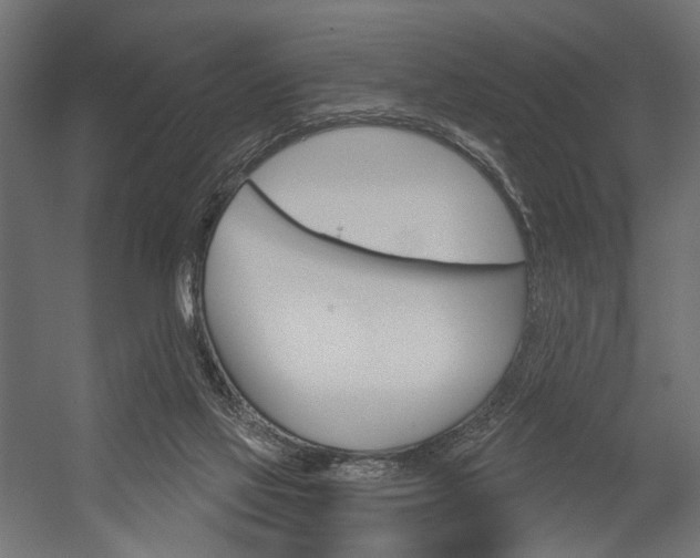 X0000054420069200507290937