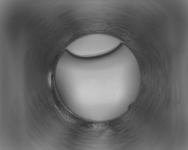 X0000054420070200507290937