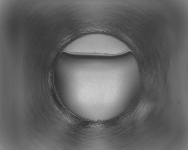 X0000054420071200507290937