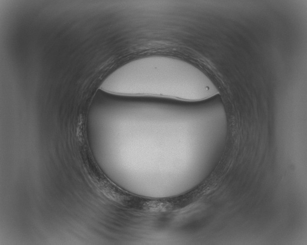 X0000054420073200507290937