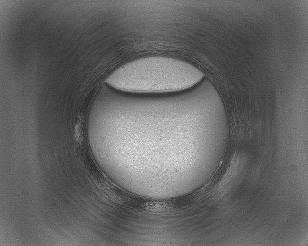 X0000054420074200507290937