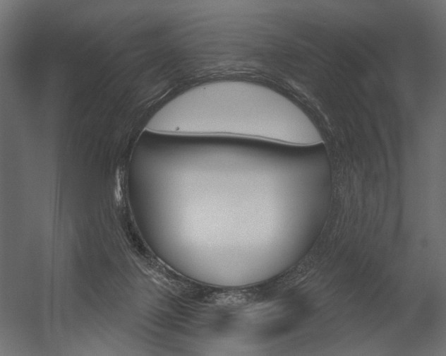 X0000054420075200507290937