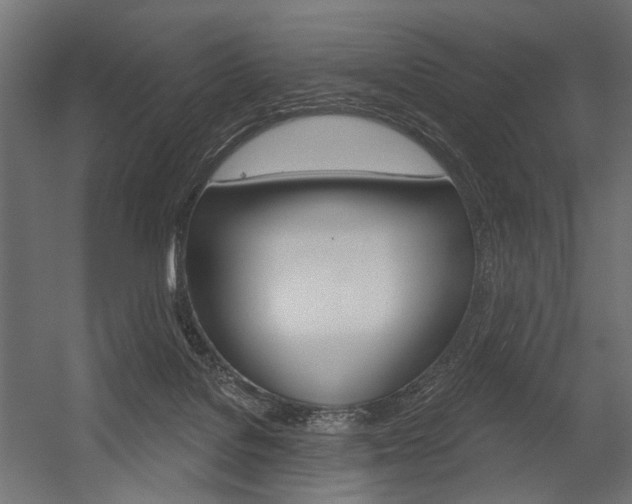 X0000054420076200507290937