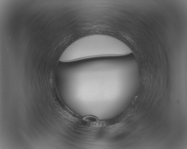 X0000054420077200507290937