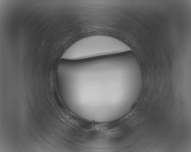 X0000054420078200507290937