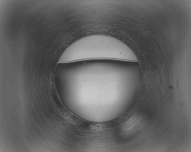 X0000054420079200507290937