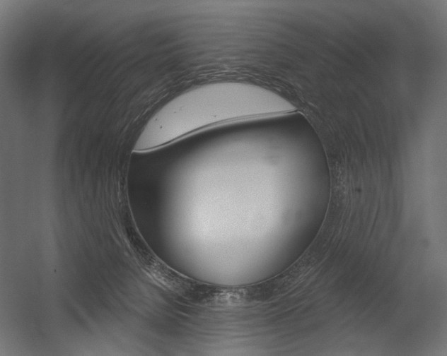 X0000054420080200507290937