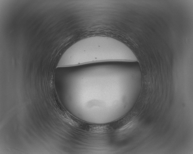 X0000054420081200507290937