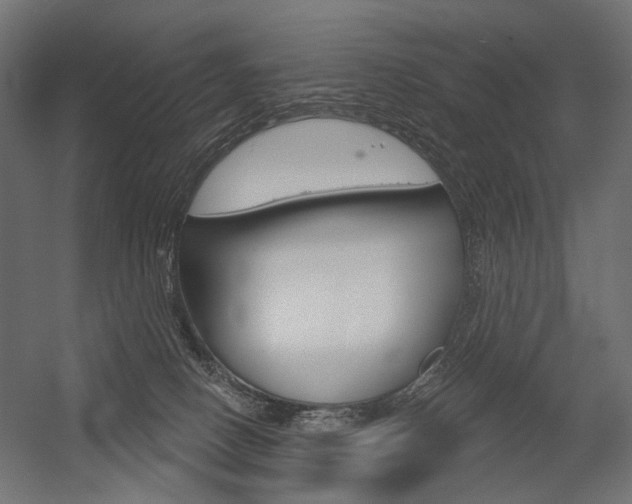 X0000054420082200507290937