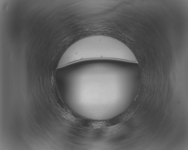 X0000054420085200507290937