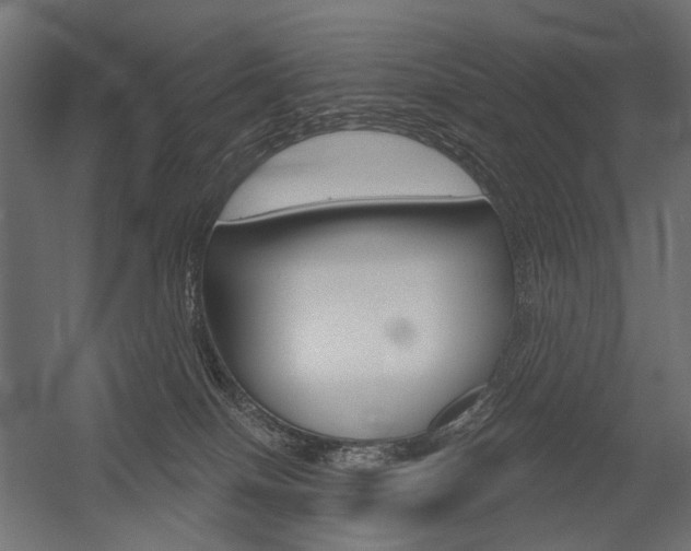 X0000054420086200507290937