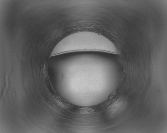 X0000054420087200507290937