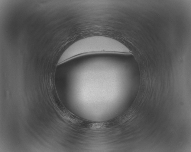 X0000054420088200507290937