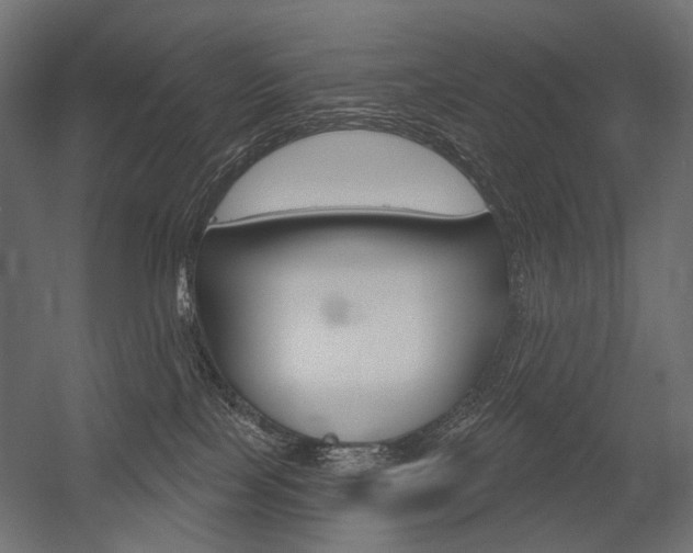 X0000054420089200507290937