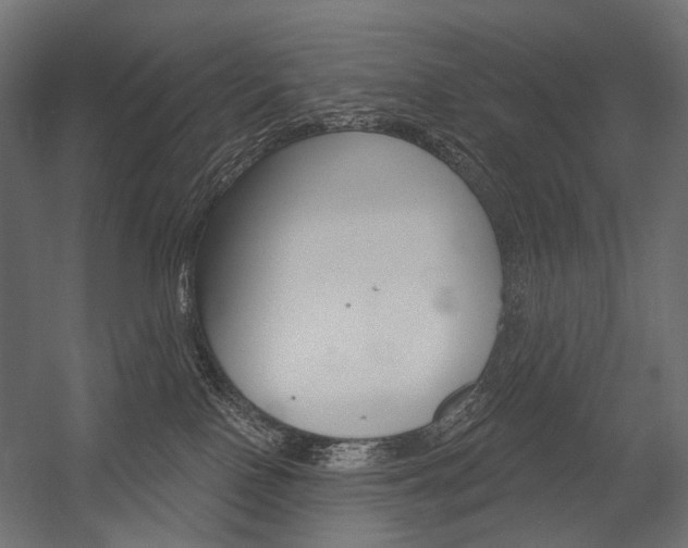 X0000054420090200507290937