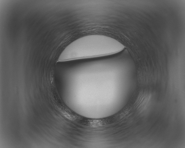 X0000054420091200507290937