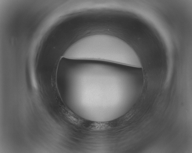 X0000054420093200507290937