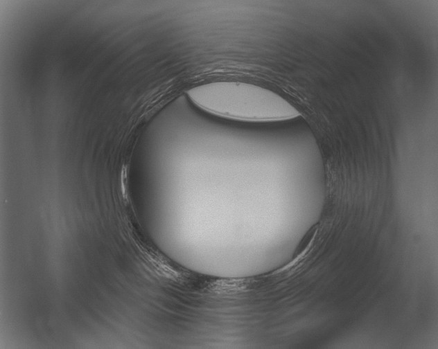 X0000054420094200507290937