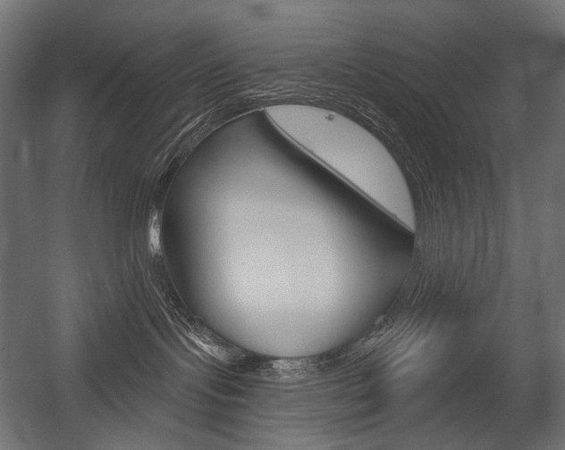 X0000054420095200507290937