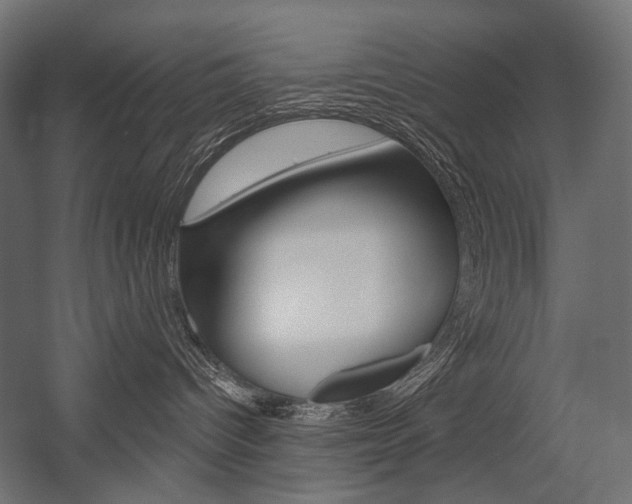 X0000054420096200507290937