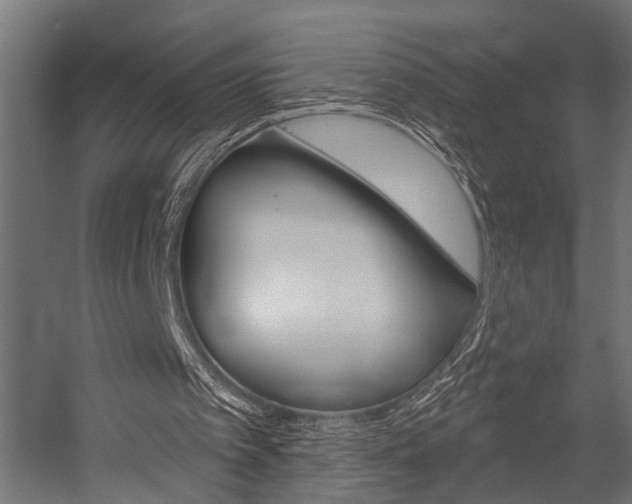 X0000054420097200507290936