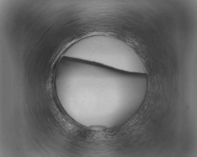 X0000054420098200507290936